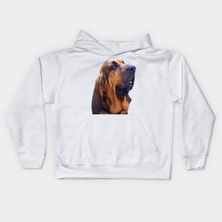 Hunting dog - Bloodhound Kids Hoodie